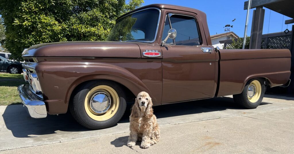 Flea Treats MOLLY Truck