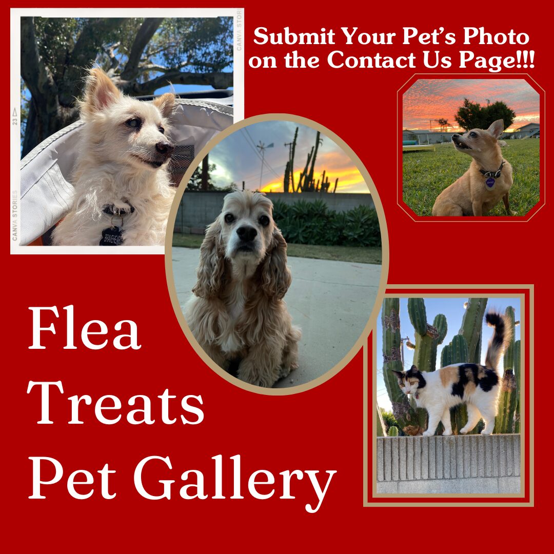 Flea Treats_Pet Gallery_1080