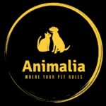 Flea Treats_Wholesale_Animalia