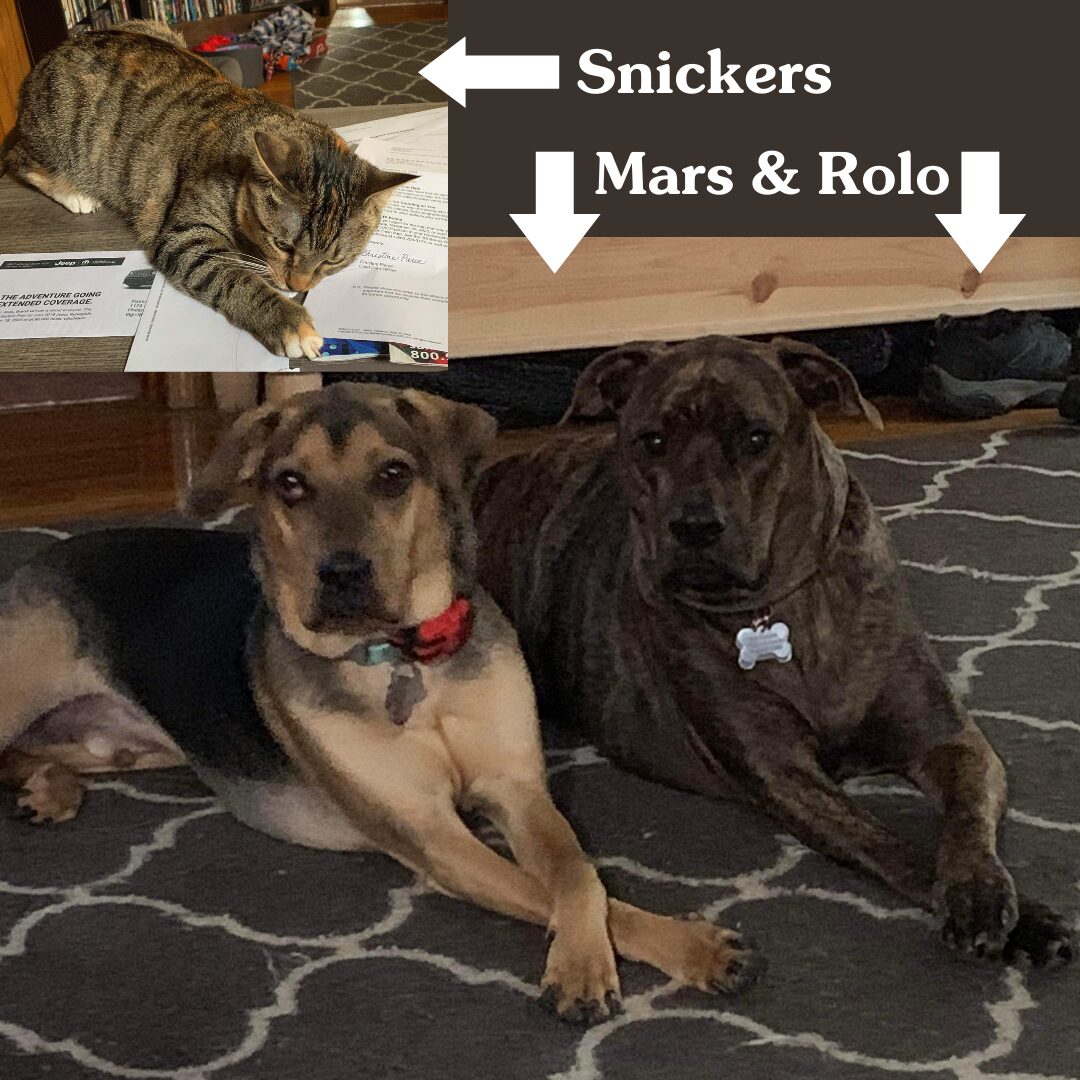 Flea Treats_Snickers, Mars, Rolo