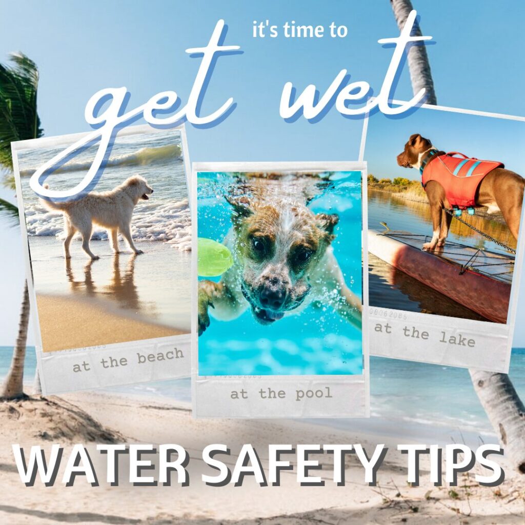 Flea Treats_Water Safety