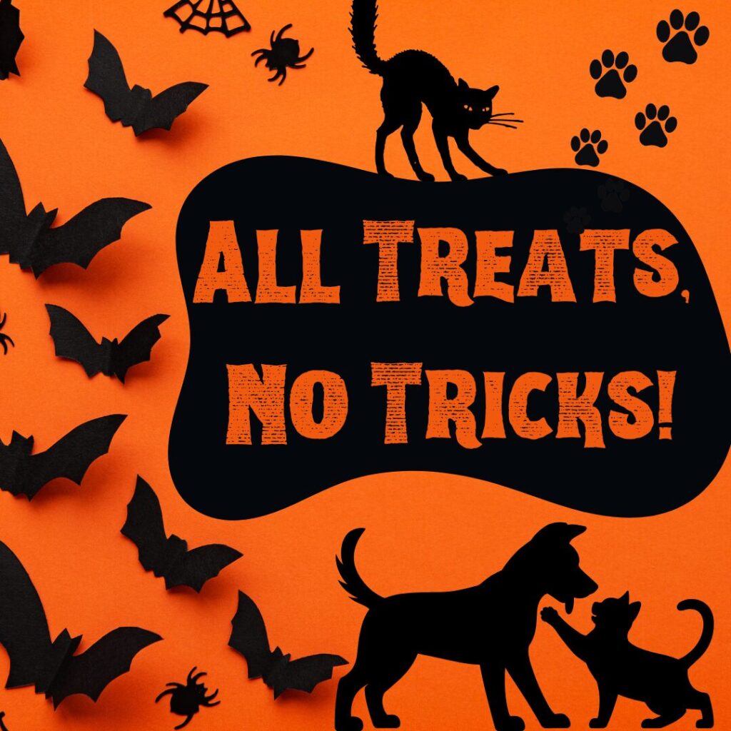 Flea Treats All Treats No Tricks
