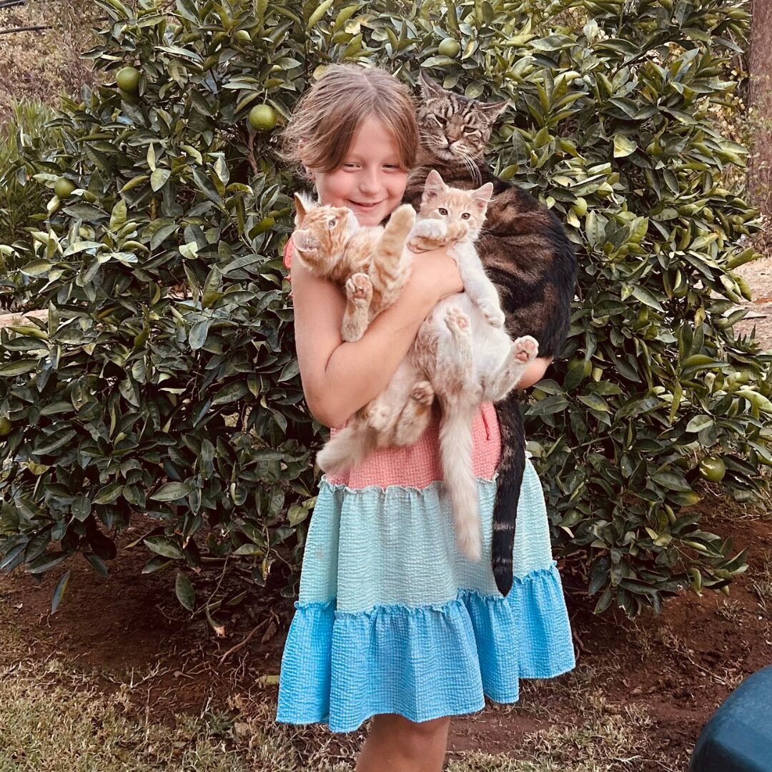 Flea Treats Strider, Binks and Dior