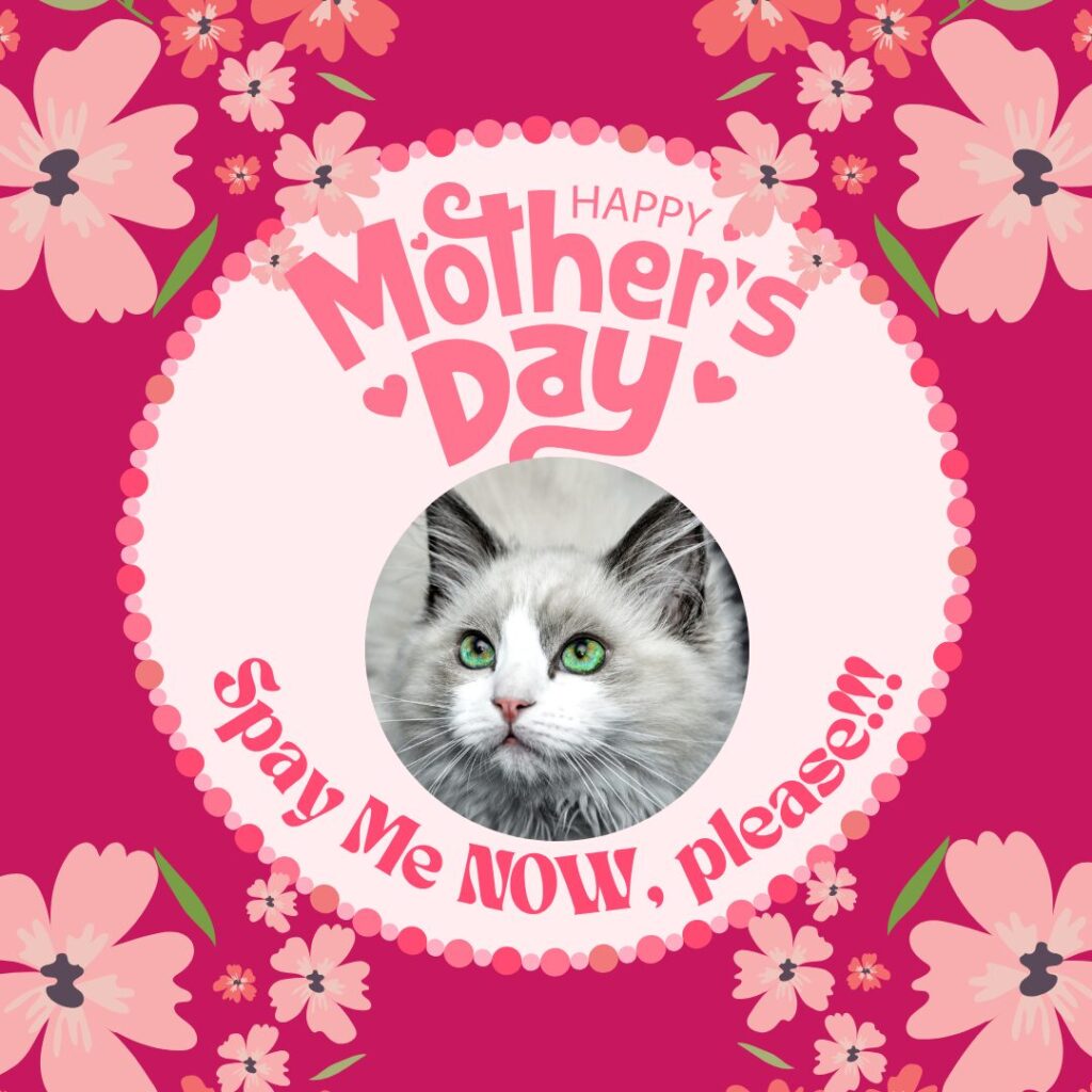 Flea Treats Mothers Day Blog 2026