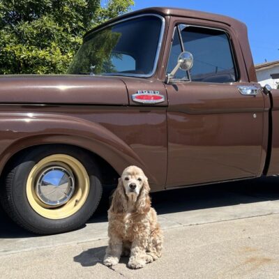Flea Treats MOLLY Truck