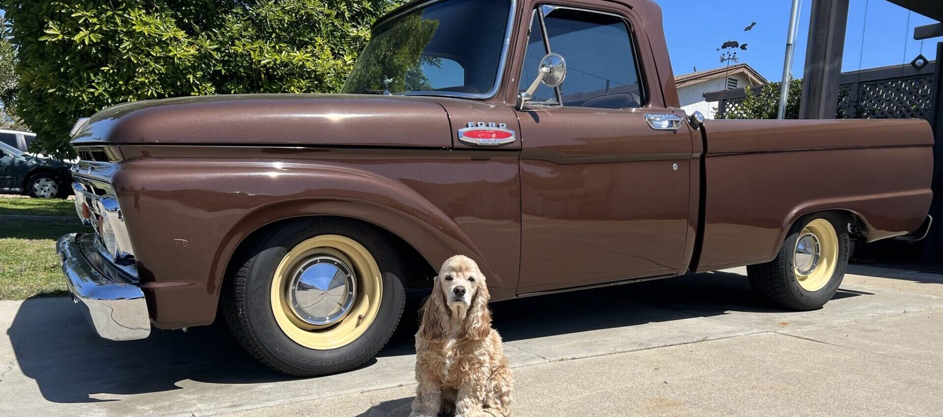 Flea Treats MOLLY Truck Flea Treats MOLLY Truck