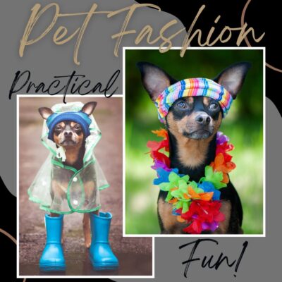 Flea Treats Pet Fashion Blog