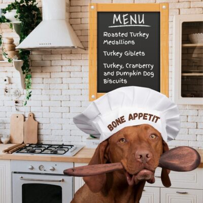 Flea Treats Turkey Treats Blog