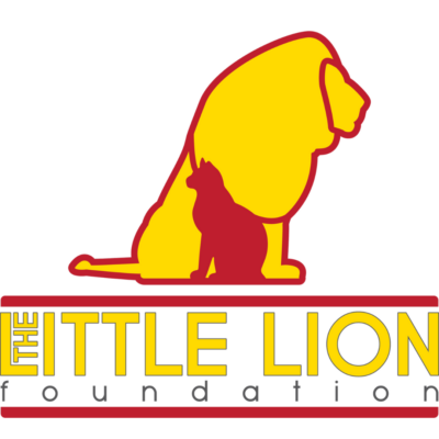 Little Lion Foundation