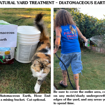 FLEA TREATS Recommends Natural Yard Treatment - Diatomaceous Earth