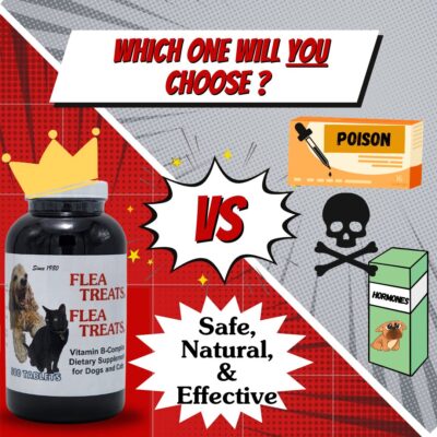 Why Choose Flea Treats?